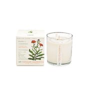 Αρωματικό κερί KOBO Plant the Box Catalan Calendula (10oz / 283g)
