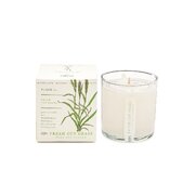 Αρωματικό κερί KOBO Plant the Box Fresh Cut Grass (10oz / 283g)