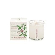 Αρωματικό κερί KOBO Plant the Box Wild Tomato Vine (10oz / 283g)
