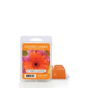Αρωματικό κερί Country Candle Sunshine & Daisies (64 g)