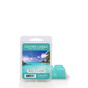 Αρωματικό κερί Country Candle Tropical Waters (64 g)