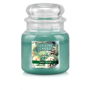 Country Candle Tinsel & Thyme μεσαίο αρωματικό κερί 2 φυτιλιών (453 g)