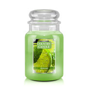 Country Candle Αφρώδη μεγάλο αρωματικό κερί με 2 φιτίλι (652 g)