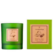 Vila Hermanos Aromathologie Κανέλα Μήλο αρωματικό κερί 200γρ