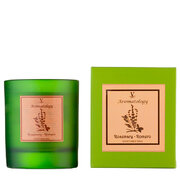 Αρωματικό κερί Vila Hermanos Aromathologie Rosemary 200γρ