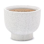 Αρωματικό κερί Paddywax Cypress & FIR σε κεραμικό βάζο (14 oz /396g)