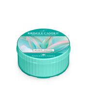 Kringle Candle Αρωματικό κερί Agave Pastel (42 g)