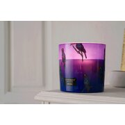 Αρωματικό κερί Vila Hermanos Jungletopia Toucan Rainforest 650g