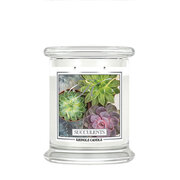 Αρωματικό κερί Kringle Candle Succulents μεσαίο 2-φιτίλι (411 g)