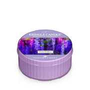 Kringle Candle Αρωματικό κερί Wisteria αρωματικό κερί (42 g)