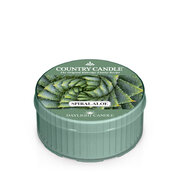 Country Candle Spiral Κερί με άρωμα αλόης (42 g)