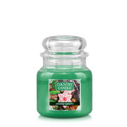 Country Candle Holiday Sweets Αρωματικό κερί μεσαίου μεγέθους με 2 φυτίλια (453 g)