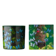 Αρωματικό κερί Vila Hermanos Jungletopia Butterfly 650γρ