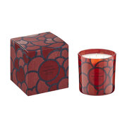 Vila Hermanos '70s αρωματικό κερί Poppy & Marigold 500 γρ