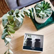 Διαχύτης ipuro Essentials Black Bamboo 2x50ml σε συσκευασία δώρου