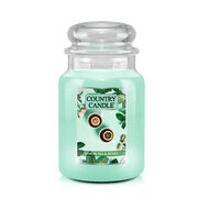Country Candle Lemon Tea & Roses μεγάλο αρωματικό κερί 2 φυτιλιών (737 g)