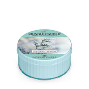 Αρωματικό κερί Kringle Candle Winter Cypress (42g)