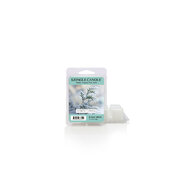 Αρωματικό κερί Kringle Candle Winter Cypress (64g)
