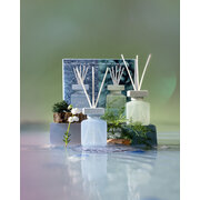 ipuro Essentials in Harmony & Nature 2x50ml διαχύτης σε συσκευασία δώρου