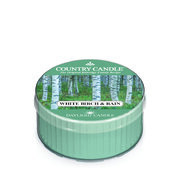 Country Candle Αρωματικό κερί White Birch and Rain (42g)