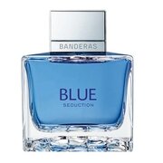 Antonio Banderas Blue Seduction for Men Eau de Toilette Eau de Toilette - Tester 100ml