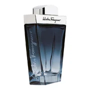 Salvatore Ferragamo Subtil Pour Homme Eau de Toilette