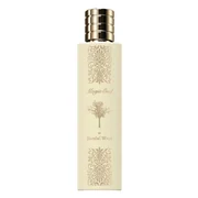 Paris Corner Magic Oud In Sandal Wood Eau de Parfum