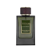 Pendora Scents Titan Wood Intense Eau de Parfum 100ml