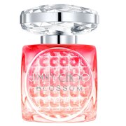 Jimmy Choo Blossom Special Edition 2025 Eau de Parfum