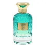 Flavia Celestc Horizon Eau de Parfum 100ml