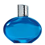 Elizabeth Arden Mediterranean Eau de Parfum 100ml