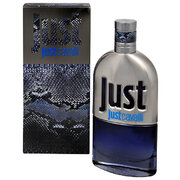 Roberto Cavalli Just Cavalli Him 2013 Eau de Toilette