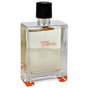 Hermes Terre D'Hermes Eau de Toilette - Tester