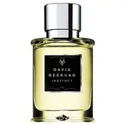David Beckham Instinct Men Eau de Toilette 75ml