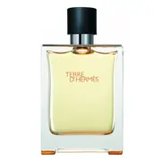 Hermes Terre D'Hermes Eau de Toilette - Tester 100ml