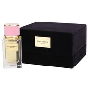 Dolce & Gabbana Velvet Love Eau de Parfum