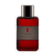 Antonio Banderas The Secret Temptation Eau de Toilette 100ml