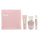 Hugo Boss The Scent for Her Gift set