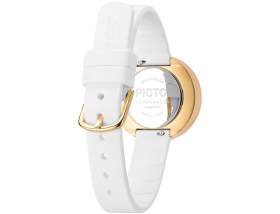 picto_43320-0212g_4_ring_back_1.jpg
