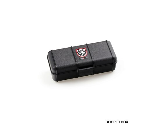 box_leatherback_32.jpg