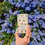 Μινιατούρα: Wild honey & cactus flower bee case deostick, 40 g - 486620586_1149102190348562_6774521135099687929_n