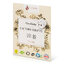 Μινιατούρα: Pracie pásiky issencia na 2 prania camibaby - Issencia - Camibaby - 02