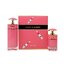 Μινιατούρα: 