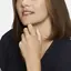 Μινιατούρα: 