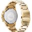 Μινιατούρα: 