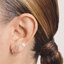 Μινιατούρα: 